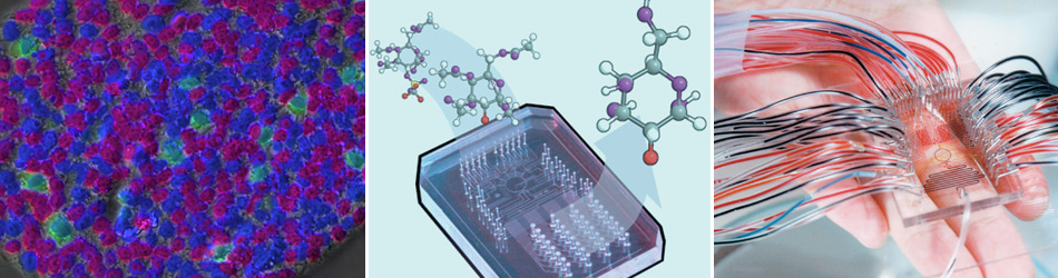 for Molecular Imaging.